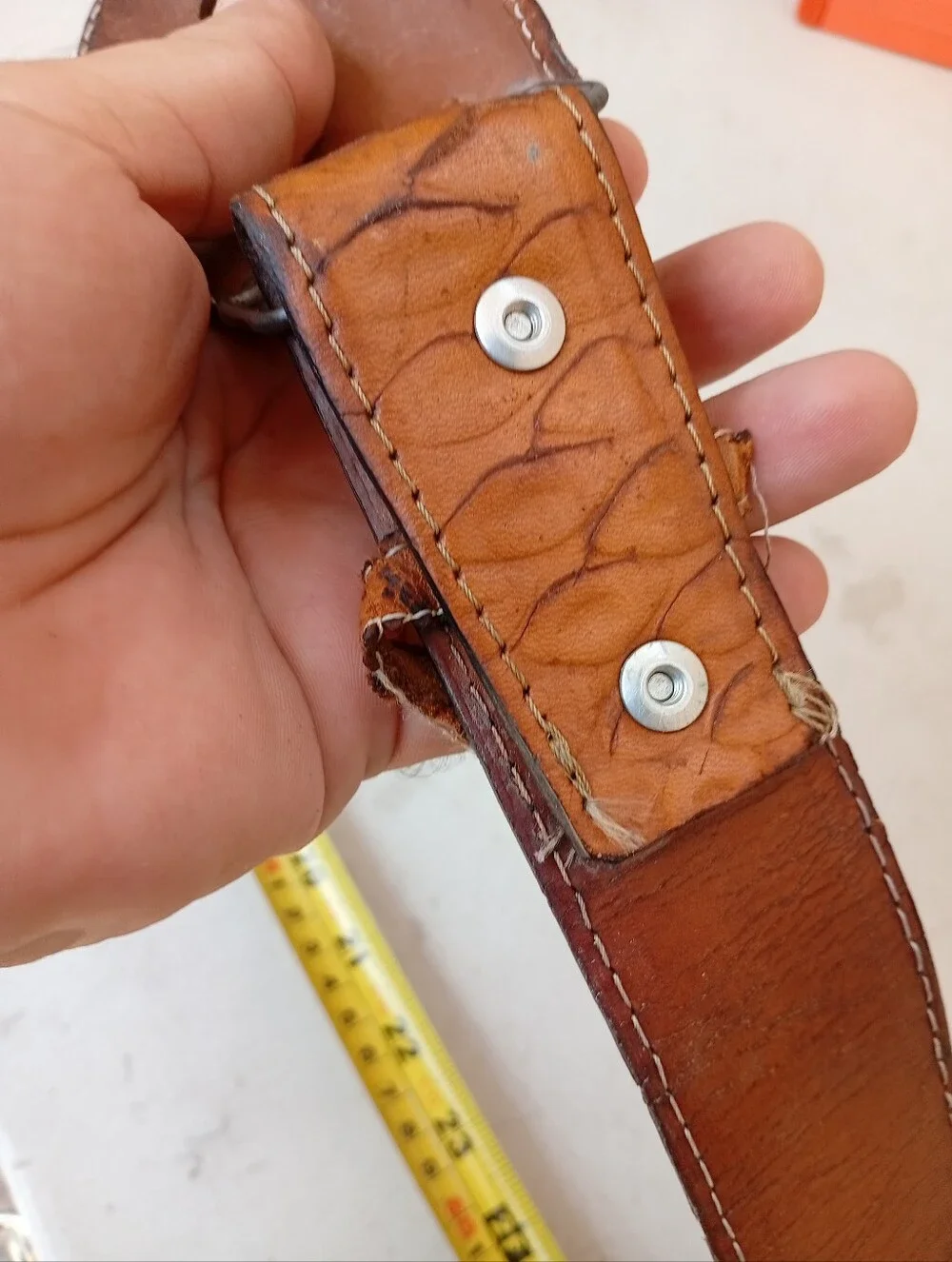 Anteater Leather Men’s Belt